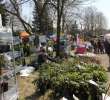 Fotoreportaż z XX Agro-Targów 2011 w Starej Łubiance