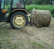 zbieranie siana