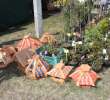 Fotoreportaż z XX Agro-Targów 2011 w Starej Łubiance