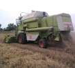 Claas 86