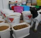 Fotoreportaż  z XI Międzynarodowych Targów Fermy Bydła