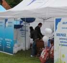 Pierwsze dni indyka w Koźminku