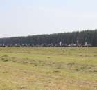 Widownia pokazu maszyn 21-22 Maj Kąkolewo