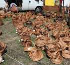 Fotoreportaż z XX Agro-Targów 2011 w Starej Łubiance