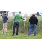 Pokazy Maszyn Polskie Zboża Zielone Agroshow 2012 - 8