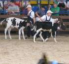 Młody Hodowca - Szepietowo 2012 - 30