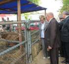 XX Targi Rolnicze Lubniewice