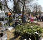 Fotoreportaż z XX Agro-Targów 2011 w Starej Łubiance