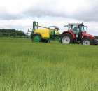 Zielone Agro Show Kąkolewo - Polskie Zboża  - 119