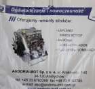 Fotoreportaż AGROTECH, LAS EXPO 2011