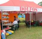 Szepietowo 2012 XIX Regionalna Wystawa Zwierząt Hodowlanych, I Ogólnopolska Wystawa Drobiu oraz Dni z Doradztwem Rolniczym - 110