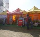 Zdj. - 476 - BEST-PEST