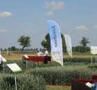 Polskie Zboża 2011 - Sobota