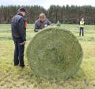 Pokazy Maszyn Polskie Zboża Zielone Agroshow 2012  - 97