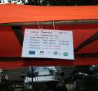 Loszki mieszańce ras wbp z pbz