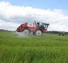 Zielone Agro Show Kąkolewo - Polskie Zboża  - 130