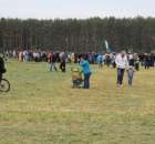 Pokazy Maszyn Polskie Zboża Zielone Agroshow 2012 - 42