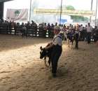 Młody Hodowca - Szepietowo 2012 - 25