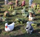 Foto reportaż z Targów Rolno-Ogrodnicze AGROMARSZ Marszew 2011