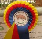 Relacja Foto Agro-Tech Minikowo 2012 - 4