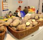 Fotoreportaż AGROTECH, LAS EXPO 2011