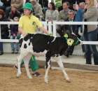 Mali hodowcy Sielinko 2012 - 5