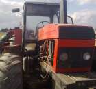 Akcja siew 2012 - 10