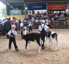 Młody Hodowca - Szepietowo 2012 - 10