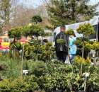 Fotoreportaż z XX Agro-Targów 2011 w Starej Łubiance