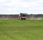 Zielone Agro Show Kąkolewo - Polskie Zboża  - 126