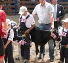 Młody Hodowca - Szepietowo 2012 - 53