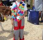 Konkurs Młodego Hodowcy - 35