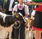 Młody Hodowca - Szepietowo 2012 - 58