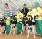 Mali hodowcy Sielinko 2012 - 36