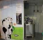 Fotoreportaż  z XI Międzynarodowych Targów Fermy Bydła