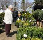 Fotoreportaż z XX Agro-Targów 2011 w Starej Łubiance