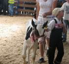 Młody Hodowca - Szepietowo 2012 - 28