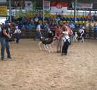 Młody Hodowca - Szepietowo 2012 - 87