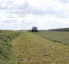 Pokazy Maszyn Polskie Zboża Zielone Agroshow 2012  - 4