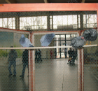 Foto reportaż z Międzynarodowych Targów Hodowli Zwierząt FARMA