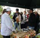 Pierwsze dni indyka w Koźminku