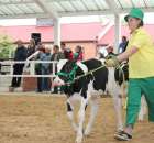 Mali hodowcy Sielinko 2012 - 16