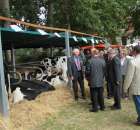 XX Targi Rolnicze Lubniewice