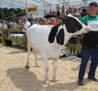 Nagordy dla superchampionów i championów  - 22