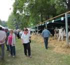 Wystawa Bydła Mlecznego