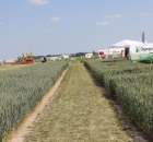 Polskie Zboża 2011 - Sobota