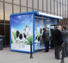 Foto reportaż z Międzynarodowych Targów Hodowli Zwierząt FARMA