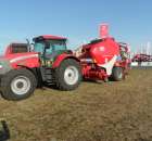 Prasoowijarka zmiennokomorowa 