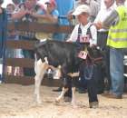 Młody Hodowca - Szepietowo 2012 - 18