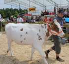 Nagordy dla superchampionów i championów  - 55